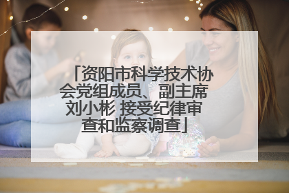 资阳市科学技术协会党组成员、副主席刘小彬 接受纪律审查和监察调查