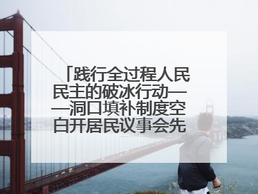 践行全过程人民民主的破冰行动——洞口填补制度空白开居民议事会先河侧记
