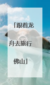 跟着龙舟去旅行佛山