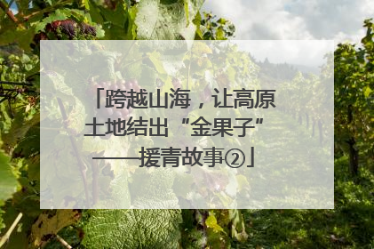 跨越山海，让高原土地结出“金果子”——援青故事②