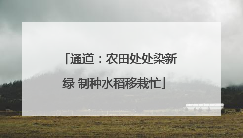通道：农田处处染新绿 制种水稻移栽忙