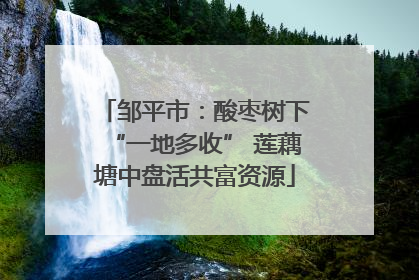 邹平市：酸枣树下“一地多收” 莲藕塘中盘活共富资源
