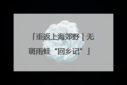 重返上海郊野｜无斑雨蛙“回乡记”