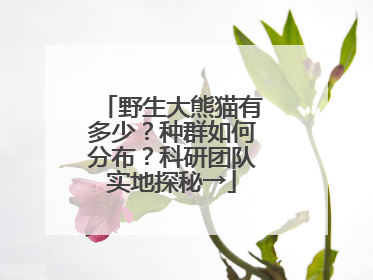 野生大熊猫有多少？种群如何分布？科研团队实地探秘→
