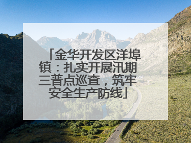 金华开发区洋埠镇：扎实开展汛期三普点巡查，筑牢安全生产防线
