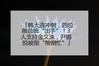 韩大选冲刺，四位前总统“出手”！3人支持金文洙，尹锡悦被指“帮倒忙”