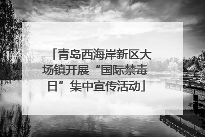 青岛西海岸新区大场镇开展“国际禁毒日”集中宣传活动