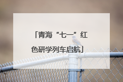 青海“七一”红色研学列车启航