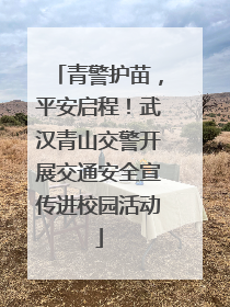 青警护苗，平安启程！武汉青山交警开展交通安全宣传进校园活动