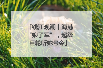钱江观潮丨海港“娘子军”，超级巨轮听她号令