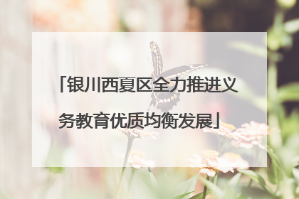银川西夏区全力推进义务教育优质均衡发展