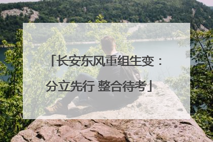 长安东风重组生变：分立先行 整合待考