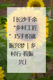 长沙千余“乡村工匠”巧手织就振兴梦｜乡村行·看振兴