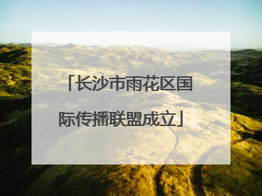 长沙市雨花区国际传播联盟成立
