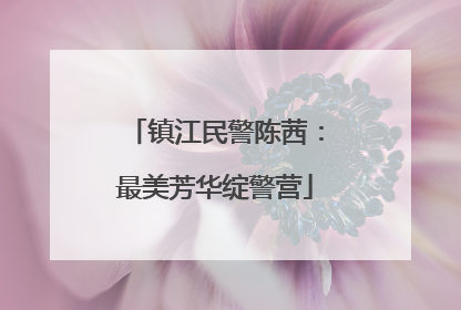 镇江民警陈茜：最美芳华绽警营