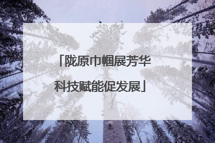 陇原巾帼展芳华 科技赋能促发展
