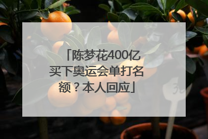 陈梦花400亿买下奥运会单打名额？本人回应