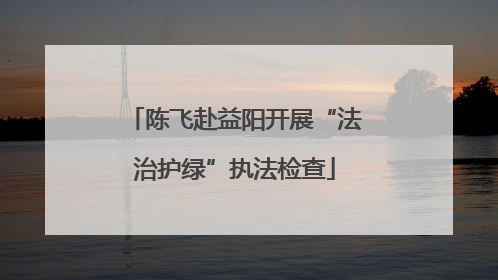 陈飞赴益阳开展“法治护绿”执法检查