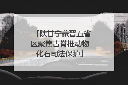 陕甘宁蒙晋五省区聚焦古脊椎动物化石司法保护