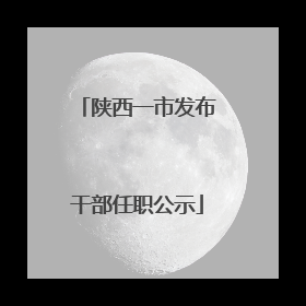 陕西一市发布干部任职公示
