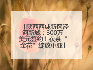 陕西西咸新区泾河新城：300万美元签约！茯茶“金花”绽放中亚