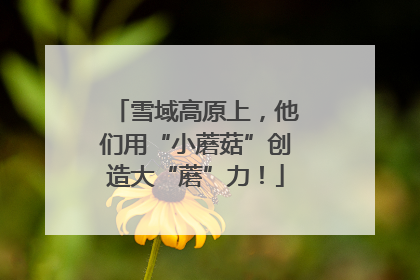 雪域高原上，他们用“小蘑菇”创造大“蘑”力！