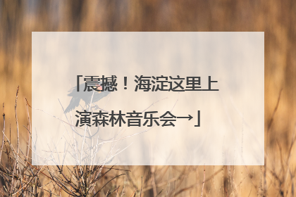 震撼！海淀这里上演森林音乐会→