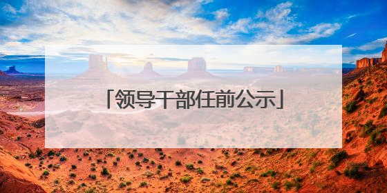 领导干部任前公示