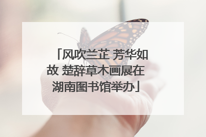 风吹兰芷 芳华如故 楚辞草木画展在湖南图书馆举办
