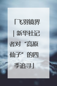 飞羽镜界｜新华社记者对“高原仙子”的四季追寻