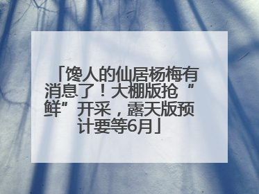 馋人的仙居杨梅有消息了！大棚版抢“鲜”开采，露天版预计要等6月