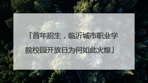 首年招生，临沂城市职业学院校园开放日为何如此火爆
