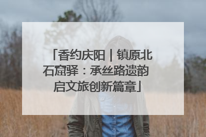 香约庆阳｜镇原北石窟驿：承丝路遗韵 启文旅创新篇章