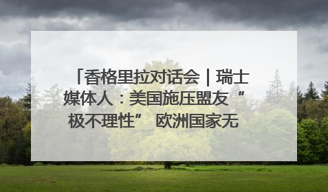 香格里拉对话会｜瑞士媒体人：美国施压盟友“极不理性” 欧洲国家无意与中国“脱钩断链”