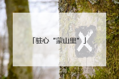 驻心“蒙山里”