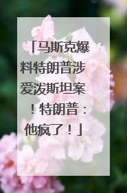 马斯克爆料特朗普涉爱泼斯坦案！特朗普：他疯了！