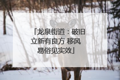 龙泉街道：破旧立新有良方 移风易俗见实效