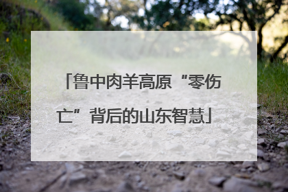 鲁中肉羊高原“零伤亡”背后的山东智慧