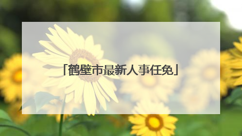 鹤壁市最新人事任免