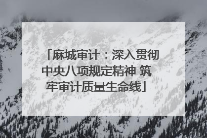 麻城审计：深入贯彻中央八项规定精神 筑牢审计质量生命线