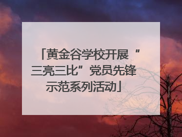 黄金谷学校开展“三亮三比”党员先锋示范系列活动