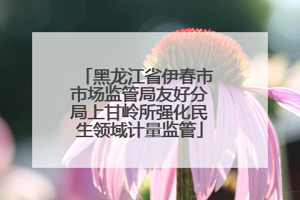黑龙江省伊春市市场监管局友好分局上甘岭所强化民生领域计量监管