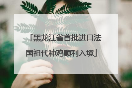 黑龙江省首批进口法国祖代种鸡顺利入境