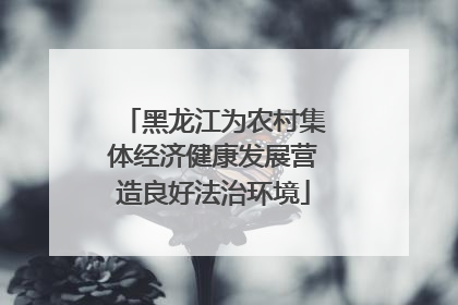 黑龙江为农村集体经济健康发展营造良好法治环境