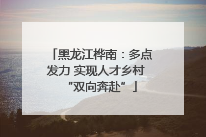 黑龙江桦南：多点发力 实现人才乡村“双向奔赴”