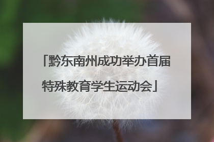 黔东南州成功举办首届特殊教育学生运动会