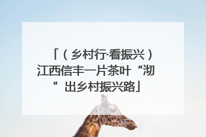 （乡村行·看振兴）江西信丰一片茶叶“沏”出乡村振兴路
