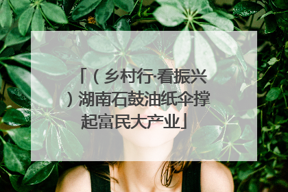 （乡村行·看振兴）湖南石鼓油纸伞撑起富民大产业
