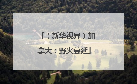 （新华视界）加拿大：野火蔓延