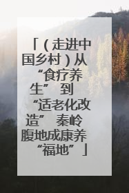 （走进中国乡村）从 “食疗养生” 到 “适老化改造” 秦岭腹地成康养“福地”